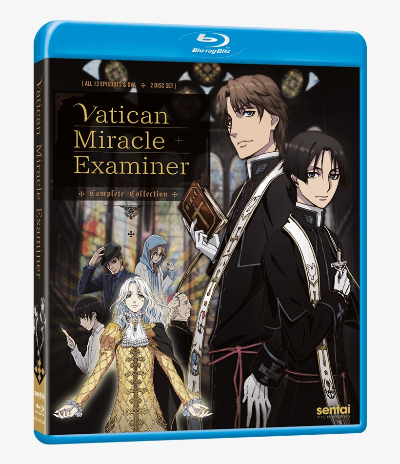 Loading Seems To Be Taking A While - Vatican Miracle Examiner, transparent png #3521791