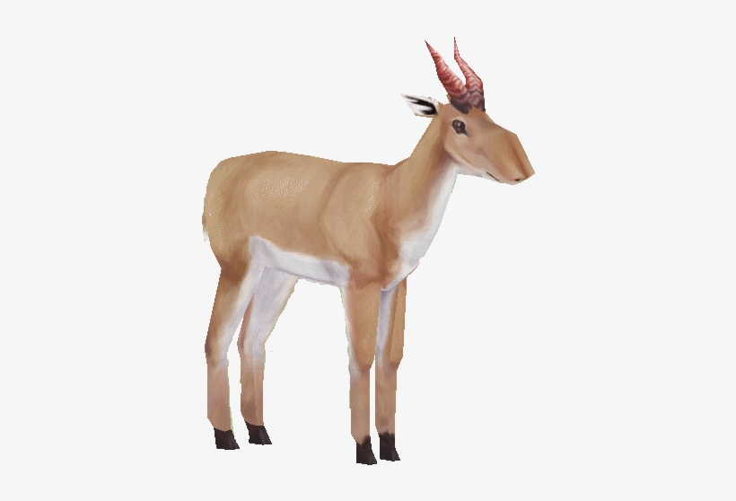 Saigaholden - Saiga Png, transparent png #3522025