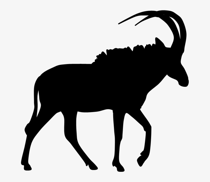 Pronghorn Antelope Silhouette Clip Art - Roan Antelope Silhouette, transparent png #3522373