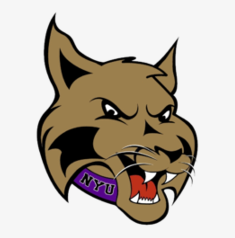 Display Nyu Violets Logo - New York University Mascot, transparent png #3523322