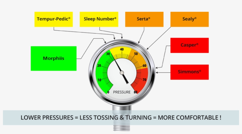 Circle, transparent png #3523922