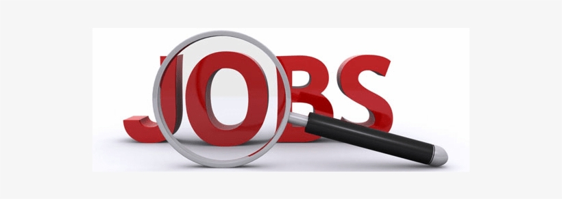 New York University World Journalist Fellowship - Seeking Job, transparent png #3524022