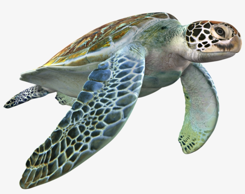 3d Computer Graphics, transparent png #3526117