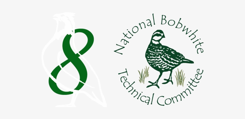 01 Pm 146591 Small Quail 8 Logo - Organization, transparent png #3526264