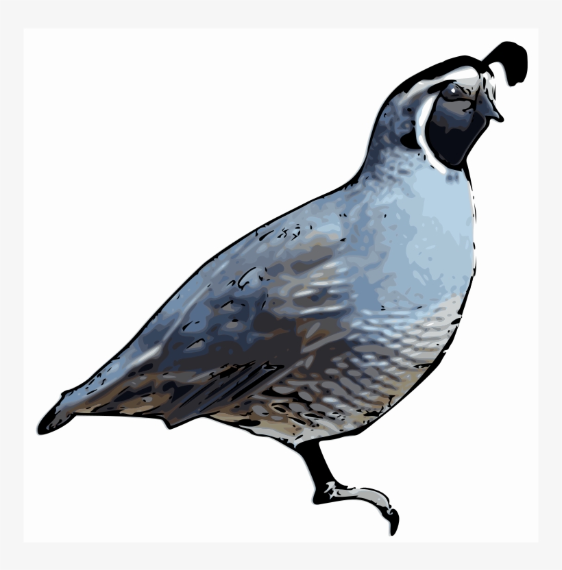 Quail Clip Art Quail Shower Curtain Free Transparent PNG Download