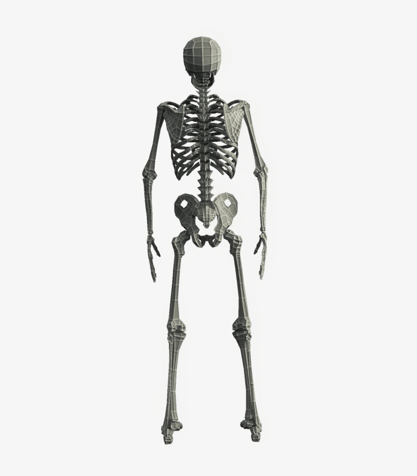 Base Mesh Skeleton - Low Poly, transparent png #3526308