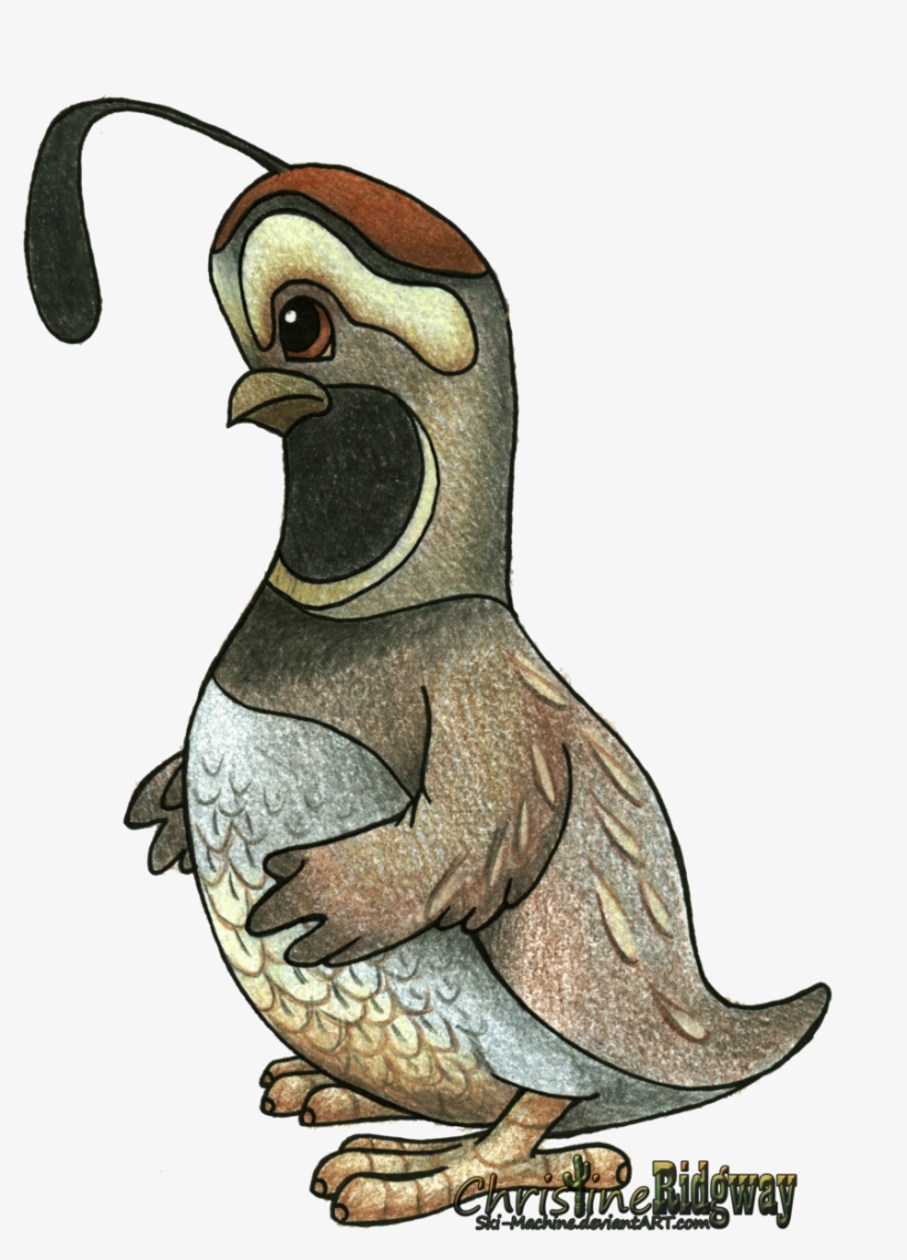 Warner Bros Quail - Quail Cartoon, transparent png #3526353