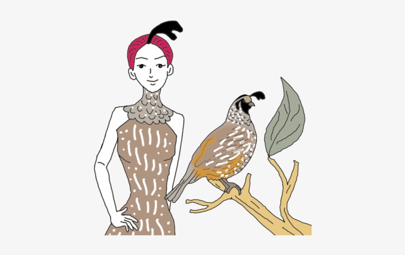 Quail - Illustration, transparent png #3526402