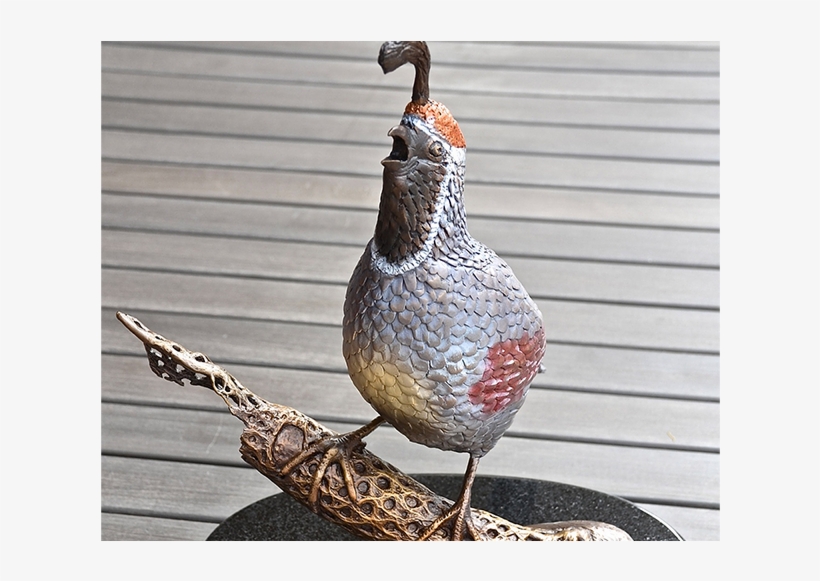Quail Feature Pic - Turkey, transparent png #3526574