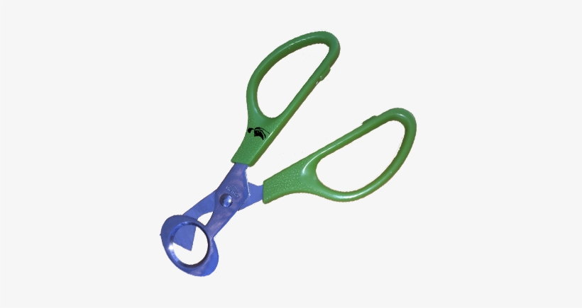Quail Ranch Egg Scissors - Scissors, transparent png #3526662