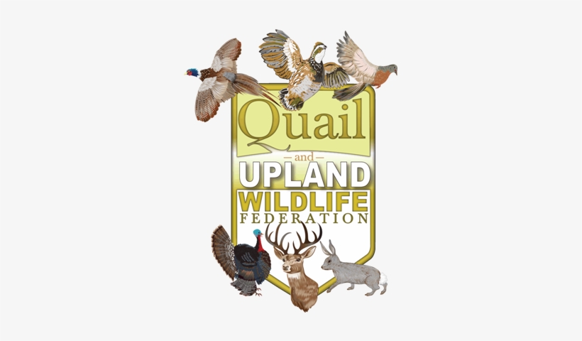 Quail & Upland Wildlife Federations - Quail And Upland Wildlife Federation, transparent png #3526753