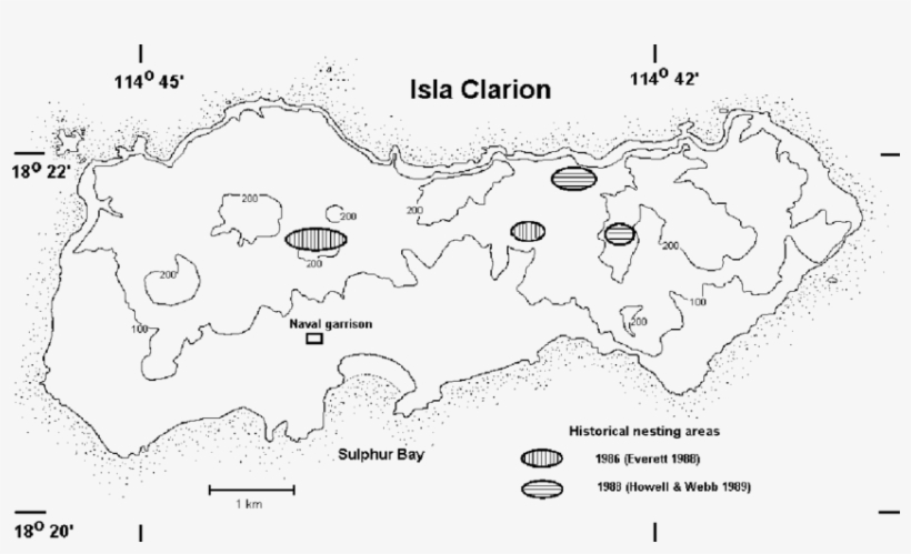 Previously Reported Locations Of Townsend's Shearwater - Townsend's Shearwater, transparent png #3529073