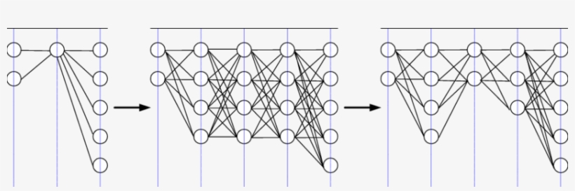 A Network Is First Growing And Then Pruning In Order - Circle, transparent png #3529300