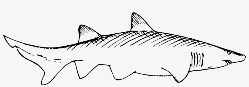 This Free Icons Png Design Of Shark 2, transparent png #3531353
