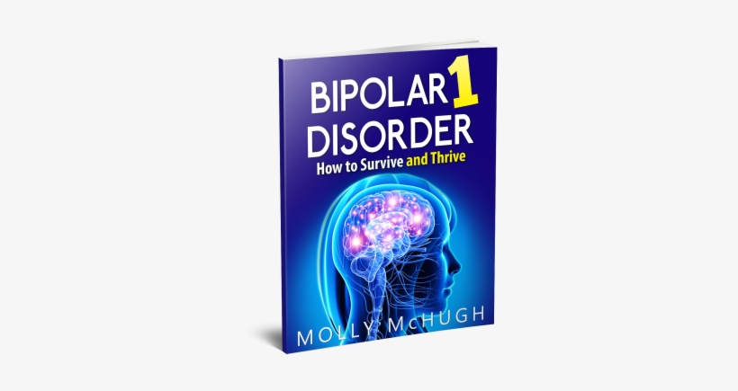 Bipolar 1 Disorder - Bipolar 1 Disorder - How To Survive And Thrive, transparent png #3531437