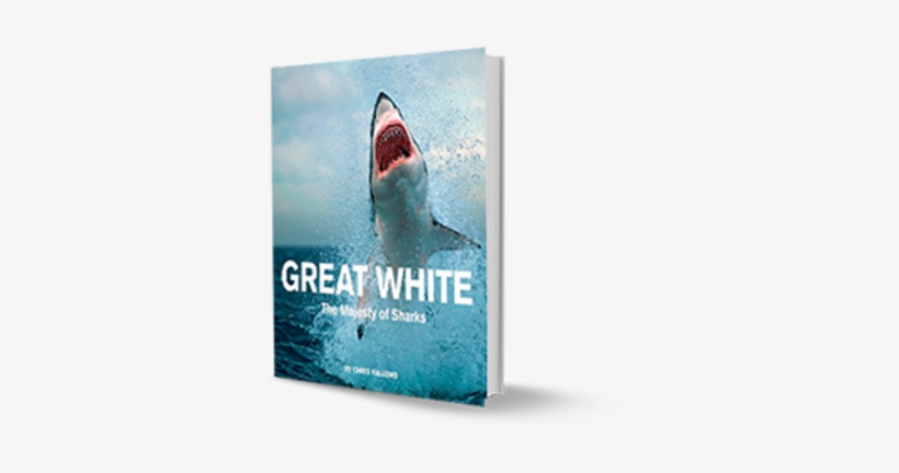 The Majesty Of Sharks - White Shark Books, transparent png #3531606