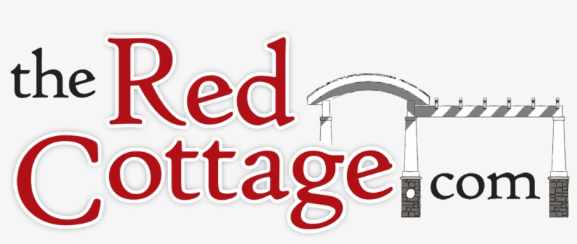 Dragonfly By Burton L Carlson, transparent png #3532063