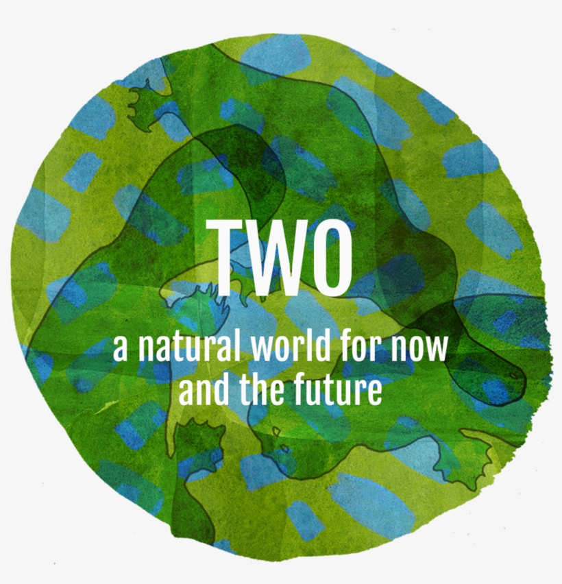 Two, transparent png #3532674