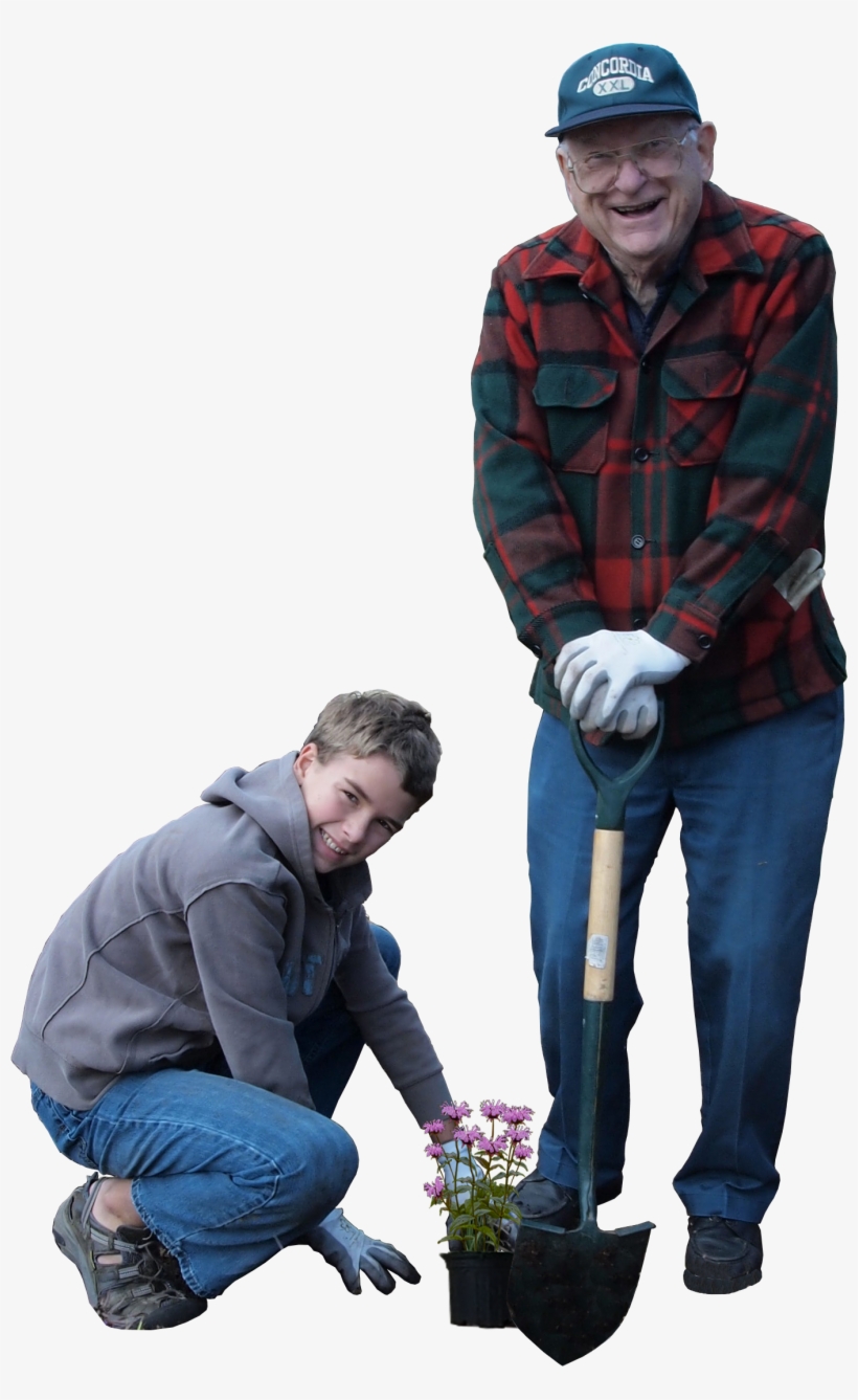 10,000 Plantings By - Planting Human, transparent png #3532864