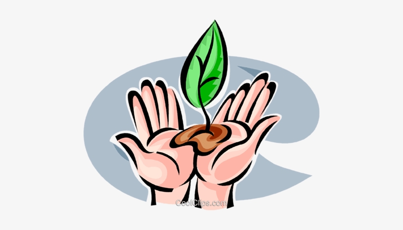 Seeds And Planting Royalty Free Vector Clip Art Illustration - Mao Com Semente Png, transparent png #3533010