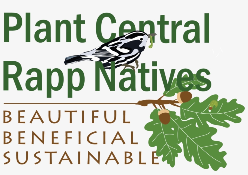 Plant Central Rapp Natives Logo - Will, transparent png #3533043