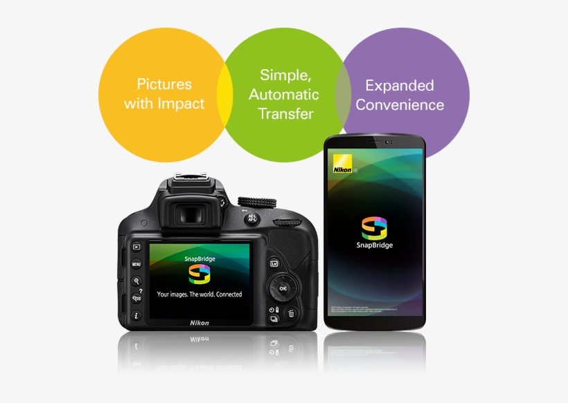 Show More - Nikon D3400, transparent png #3533648