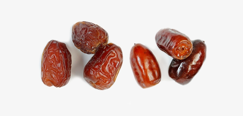Premium Quality Plain Dates Of Popular Varieties - Dates Fruit Png, transparent png #3533838