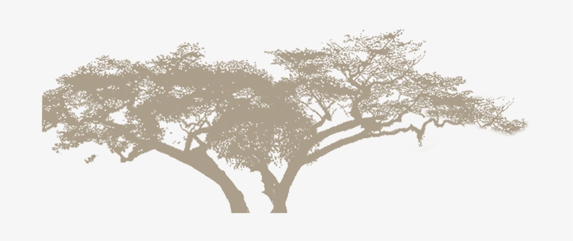 Arctictern Training Center - Towards Exile: Life, Limbo And Beyond - Trade Paperback, transparent png #3534163