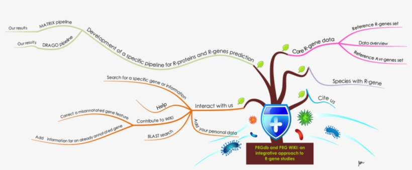 Prgdb 1 - Resistance Gene, transparent png #3534206