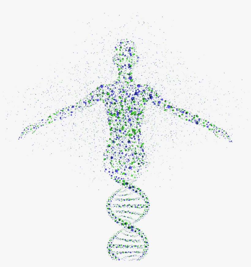 Human Genome Project Final - Fabry Disease, transparent png #3534211