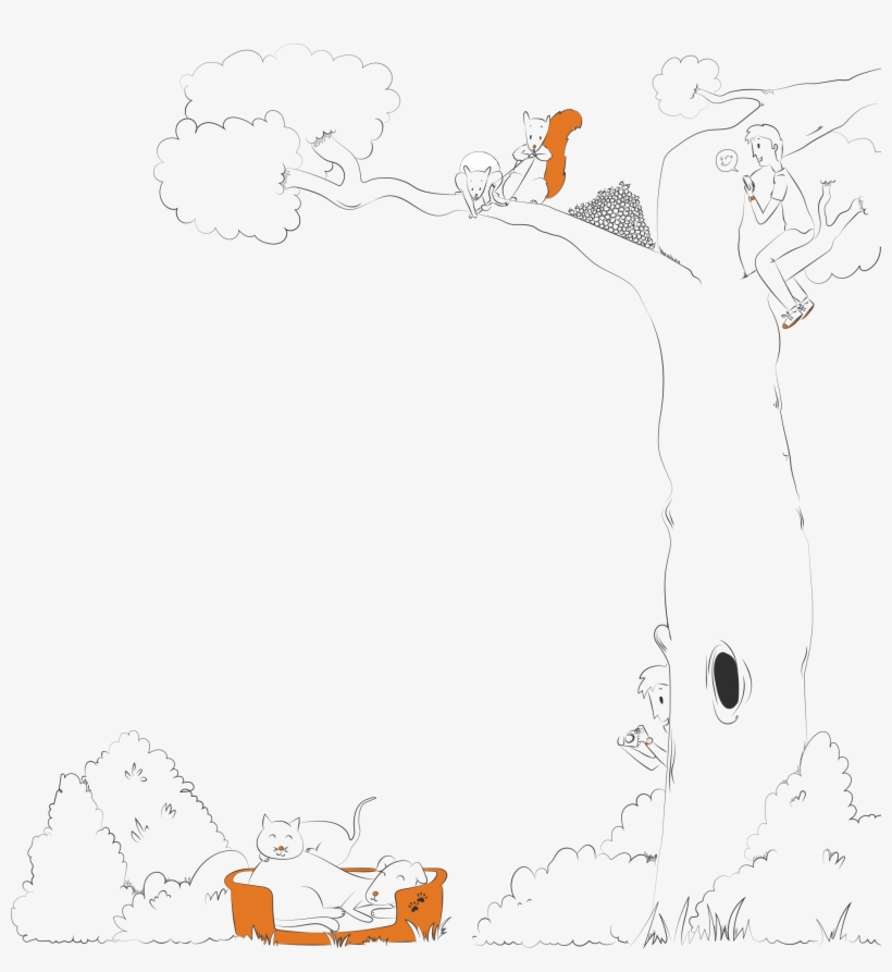 Tree - Drawing, transparent png #3534300