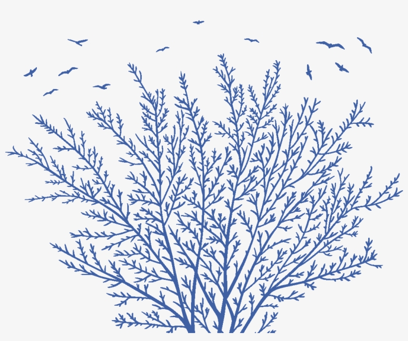 Blucitrus Tree - Illustration, transparent png #3534378