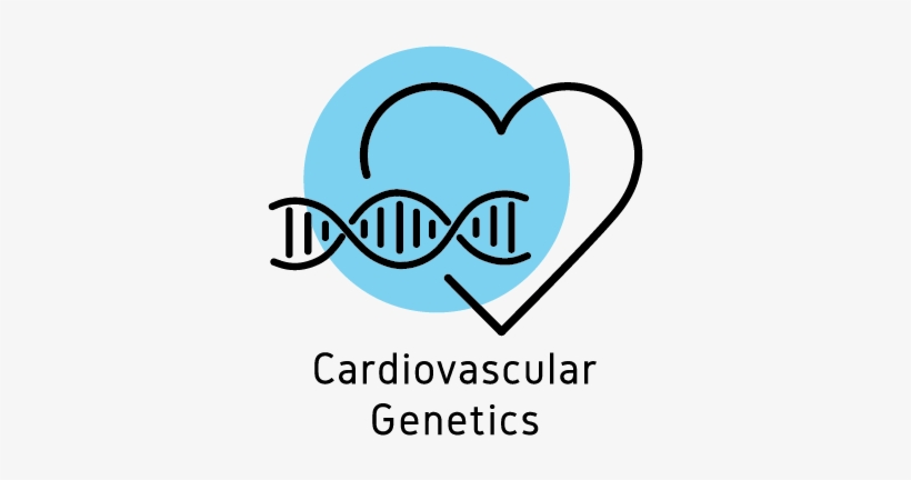 To Provide Highly Accurate Genetic Tests, That Are - Heart, transparent png #3534456