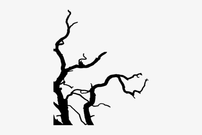 Silhouette, transparent png #3534555