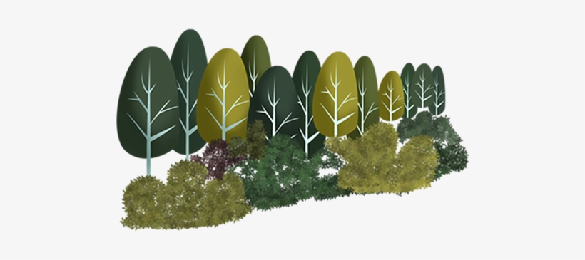 悦读h5 - “ - Illustration, transparent png #3535103
