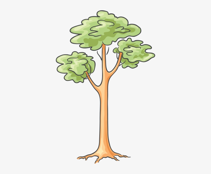 Cartoon Tree - Cartoon Tree Images Png Format, transparent png #3535120