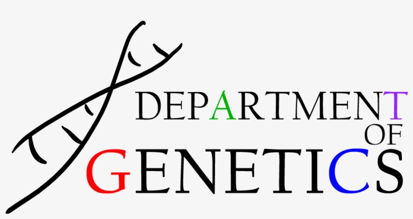 Washington University Genetics - Genetics Department, transparent png #3535121