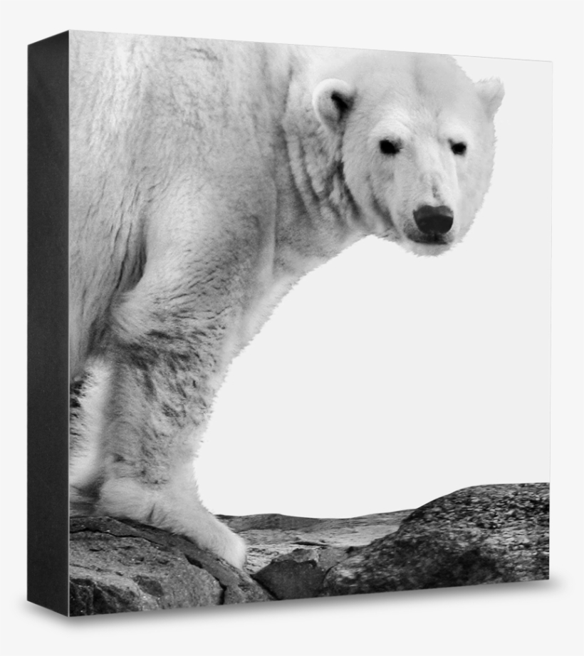 Magnet, transparent png #3536093