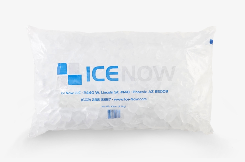 10 Lb - Bags - Handbag, transparent png #3536648