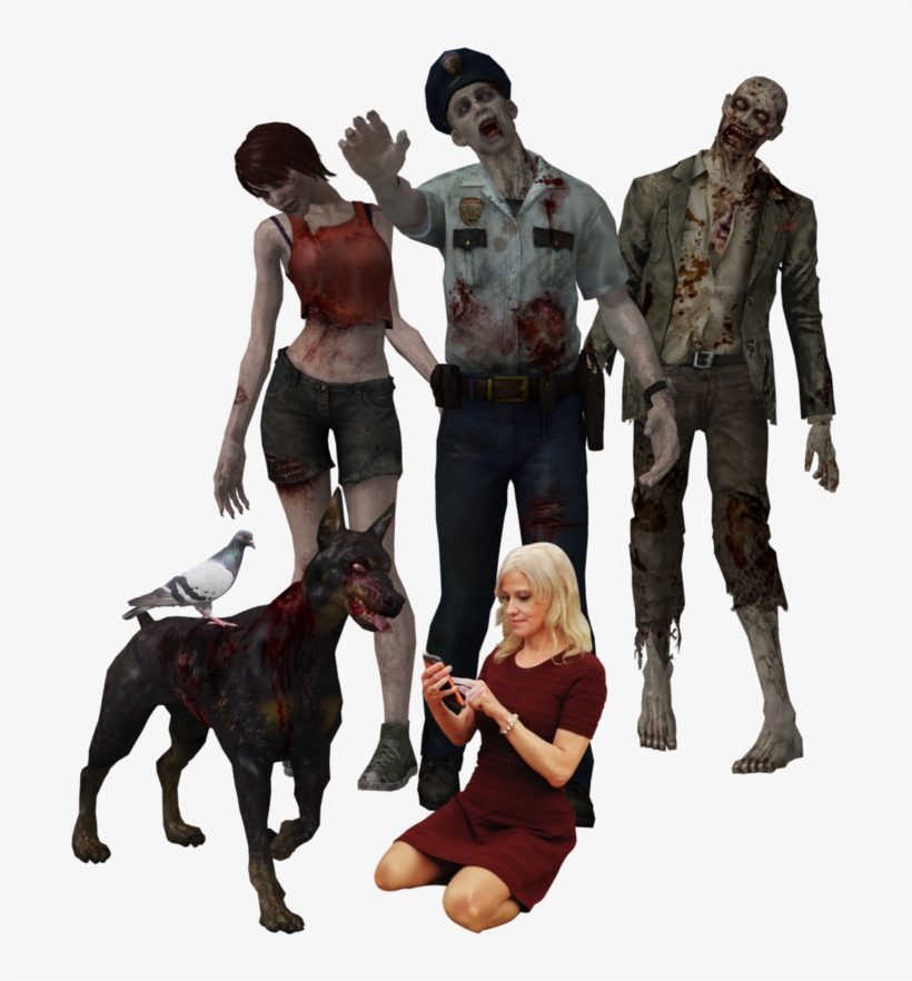 [ Img] - Pigeon, transparent png #3537751