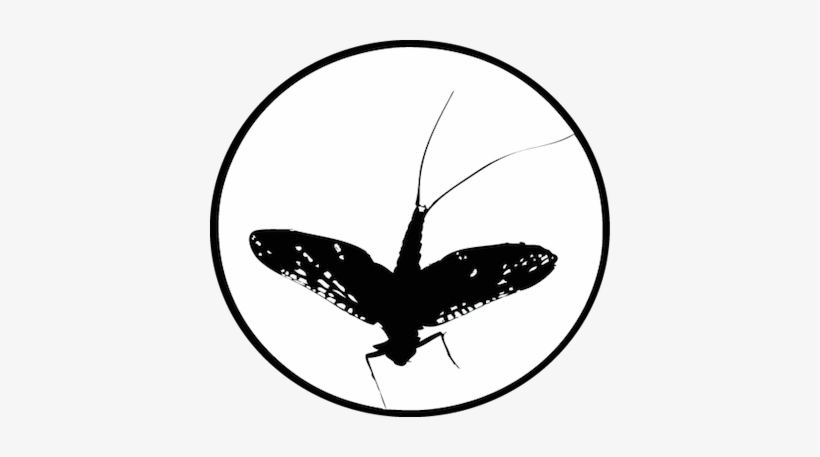 S - C - O - F Store - Culture, transparent png #3541070
