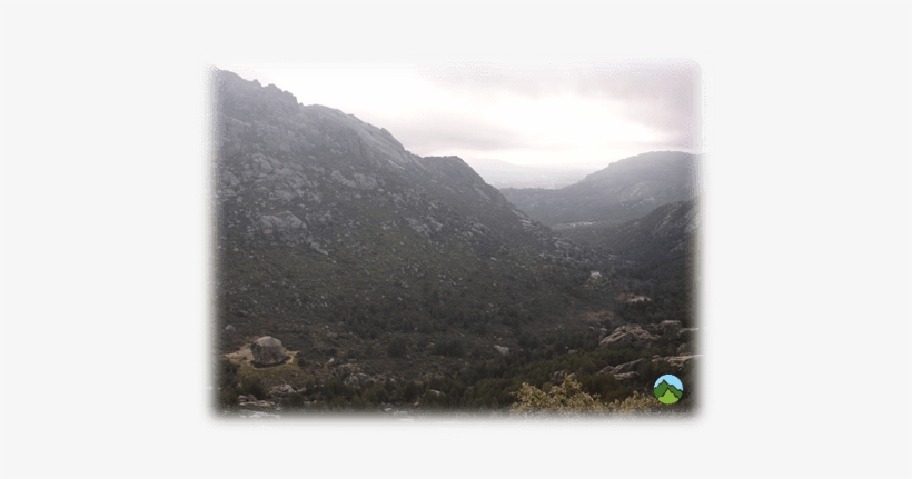 Https - //i0 - Wp - Com/www - Exytos - Com/wp Prado - Wig, transparent png #3541314