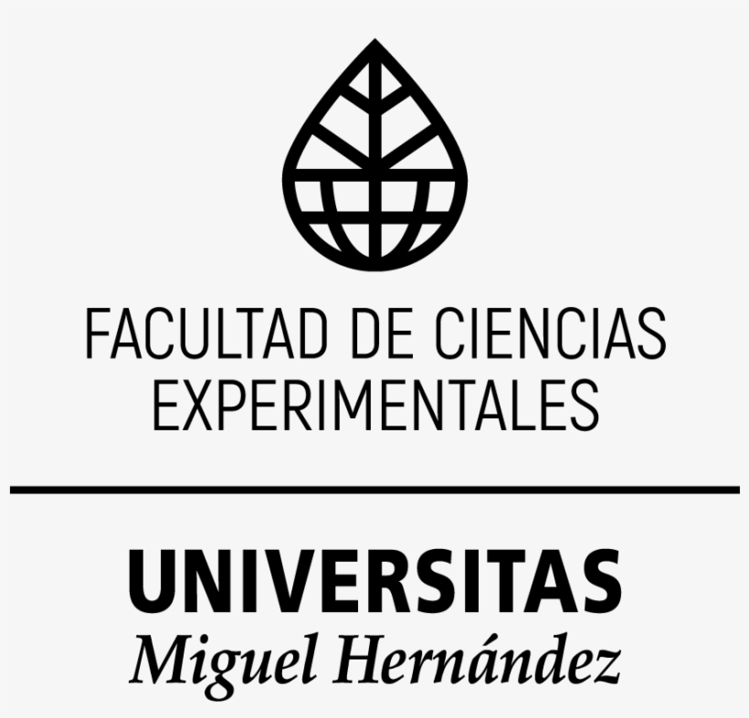 Articulación Principal En Una Tinta Png - Universidad Miguel Hernández De Elche, transparent png #3541452
