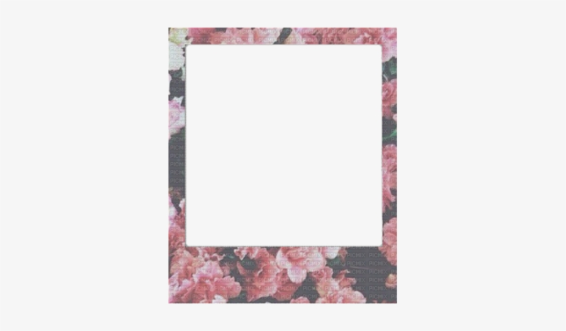 Loly33 Frame Cadre Polaroid - Floral Polaroid Png, transparent png #3541565