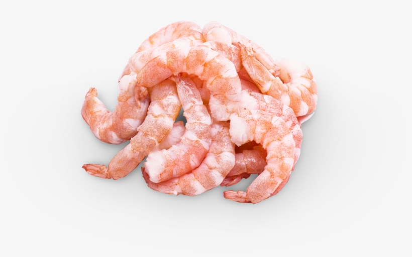 Camarón Coctel Seleccionado - Botan Shrimp, transparent png #3541743