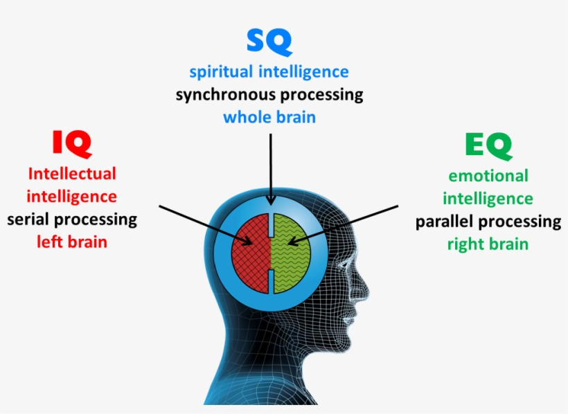 Difference Between Iq Eq And Sq, transparent png #3541893