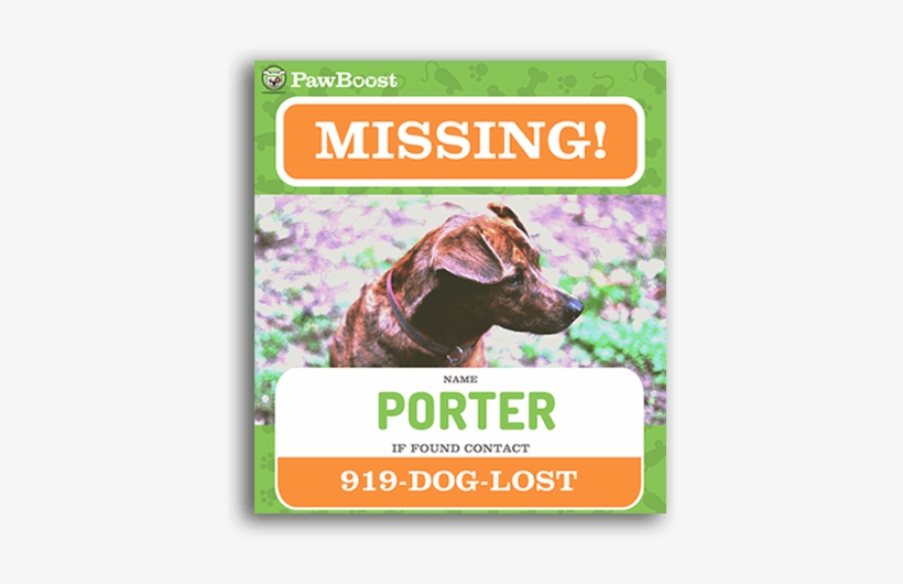 Lost And Found Sign Template from www.pngkey.com