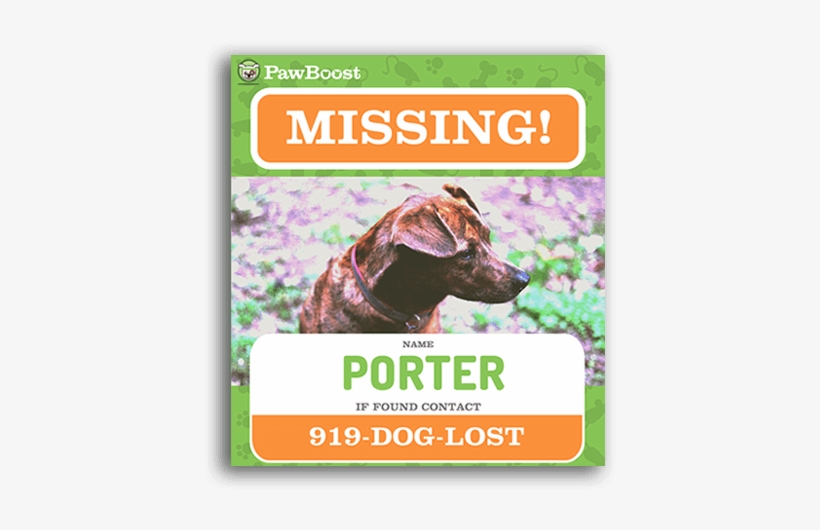 Lost Dog Flyer Template Sign Up For Local Lost Pet Pet Free Transparent Png Download Pngkey