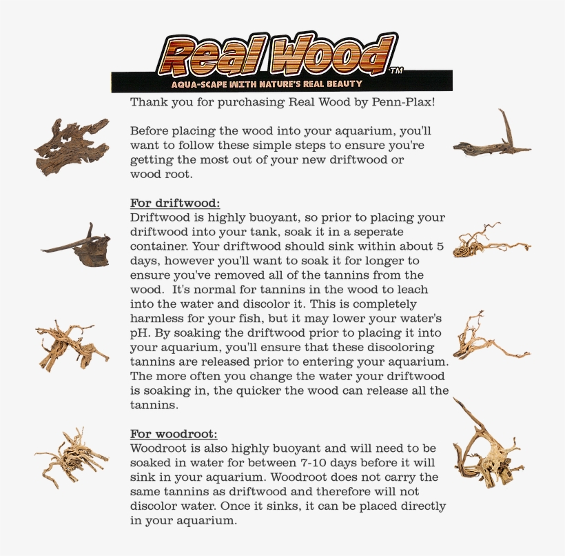 Dale Like Para Enterarte Todas Las Novedades - Document, transparent png #3543674