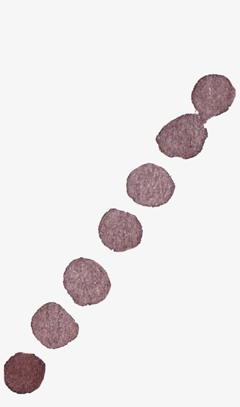 Chocolate Ice Cream Transparent Decorative - Cookie, transparent png #3544186